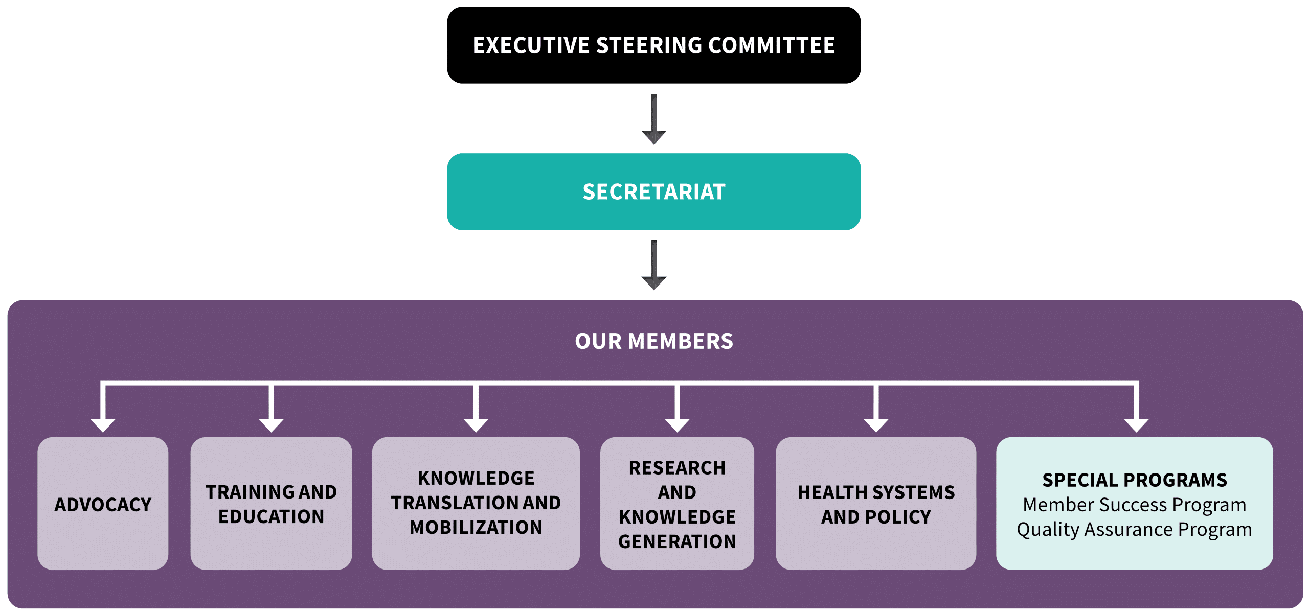 Organizational structure and member programs