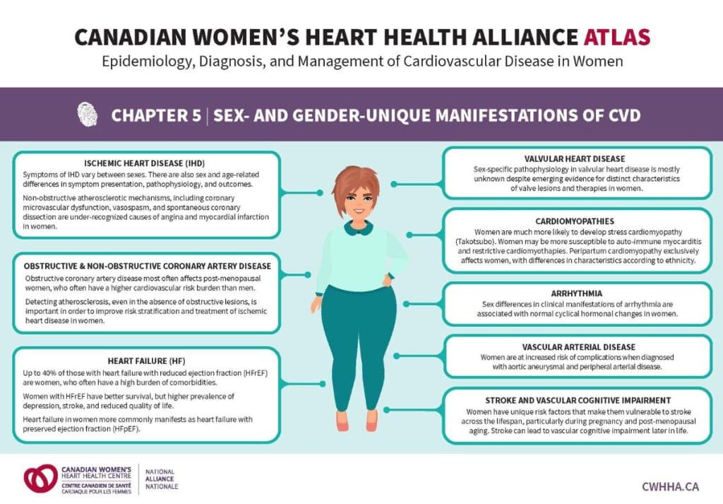 Infographic on women's heart health