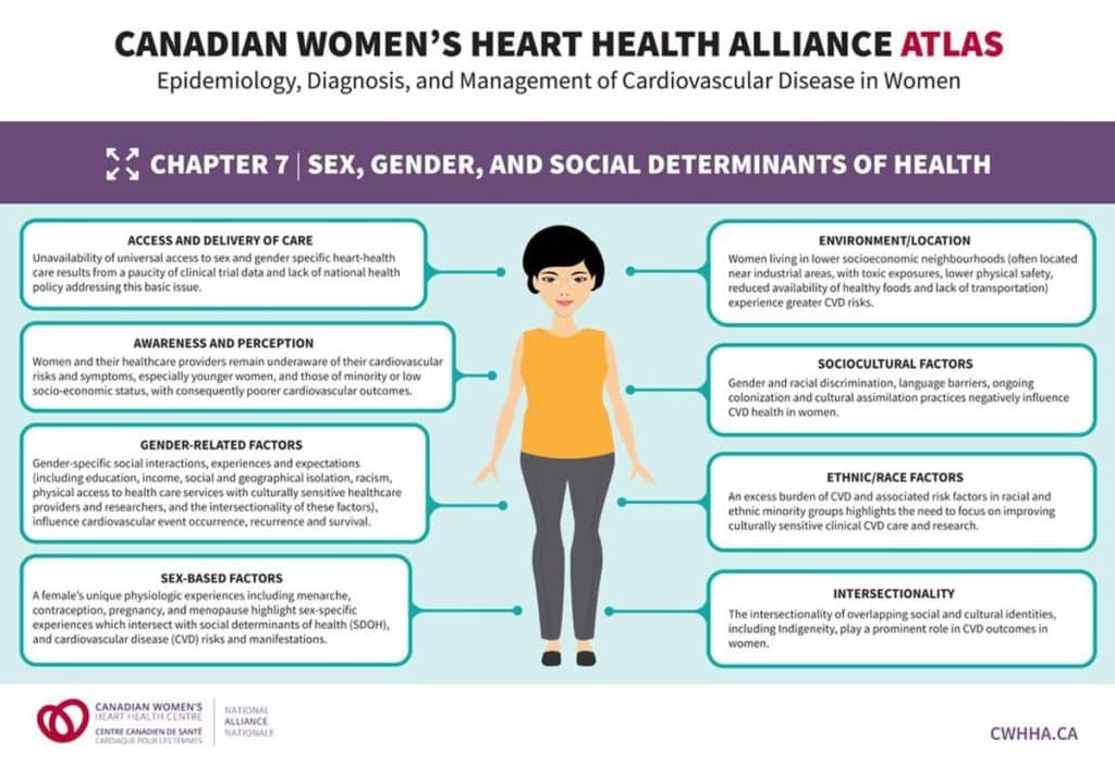 Factors influencing women's heart health