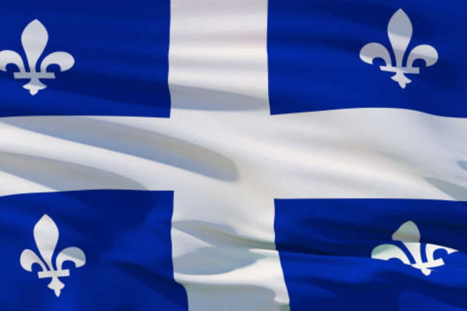 Blue and white flag with fleurs-de-lis