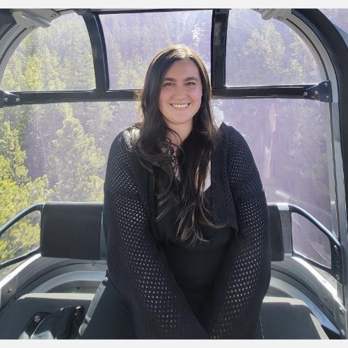 Person in gondola surrounded by trees